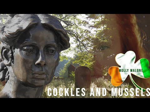 Video Cockles And Mussels