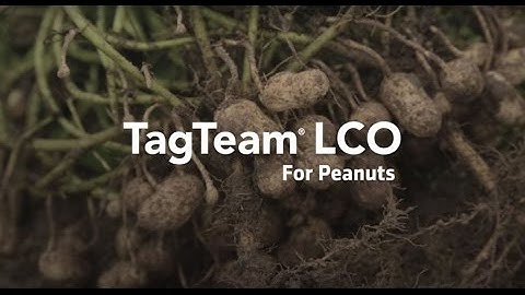 Introducing TagTeam® LCO for Peanuts
