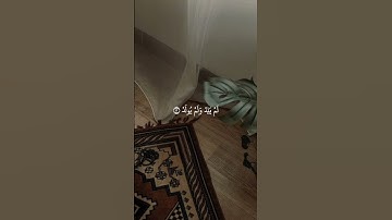 سورة الفلق| ماهر المعيقلي| اكتب شيئ تؤجر عليه ❤️‍🩹🥺❤️‍🩹 #قرآن