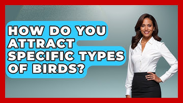 How Do You Attract Specific Types Of Birds? - Bird Watching Diaries