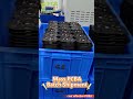 Mass PCBA Batch Shipment! #custom #factory #pcba #machine #pcbfuture #wholesale #manufacturer