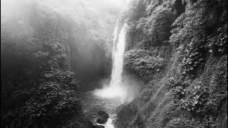 Suika #116 w/ Ninze, Damabiah, L-Dee, Ed-Ward, Andrés Moris, Anima, Spookyfish, and others...