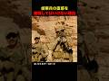 偵察兵の直感を無視してはいけない理由