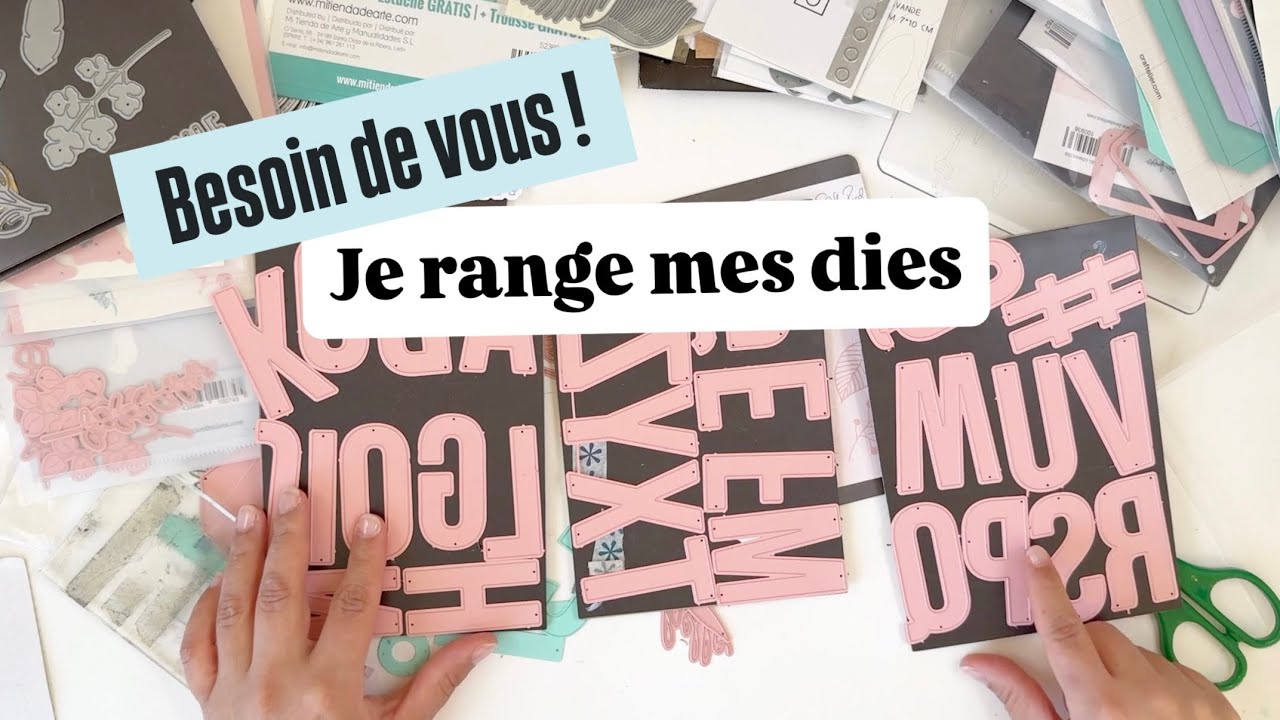 J'ai besoin de VOUS pour RANGER et TRIER mes DIES