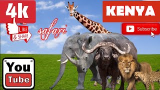 4K African Safari: Wildlife, Piano Music, Scenic Landscape, Relaxation.