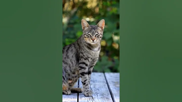 Fast Facts No. 351 #shorts