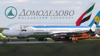 Plainspotting in Moscow, Domodedovo. Aircraft landings and takeoffs | 2022