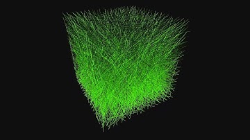 Visualizing Sorting Algorithms