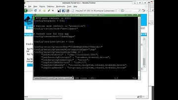 Deploy multi-tenant SaaS applications with IBM in the Amazon Elastic Compute Cloud (1 of 2)