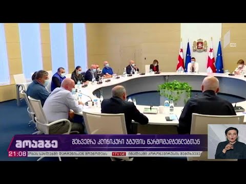 შეხვედრა კლინიკური ჯგუფების წარმომადგენლებთან
