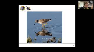 189 Fall birding and photography tips 20241113