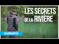 Les secrets de la rivire  pche  la carpe avec julien halard