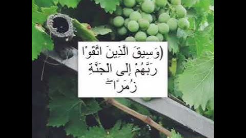 تلاوه من سورة الزمر الشيخ.. عبدالله الموسى.