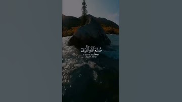 اسلام صبحي | سورة النحل || حالات واتساب دينية ||