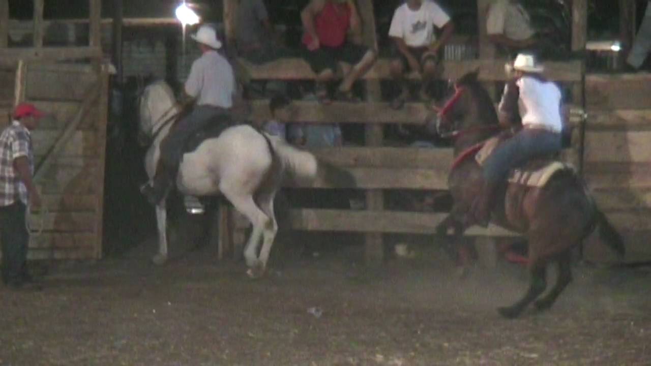 Costa Rica Rodeo Rodeo de Toros Costa Rica - YouTube