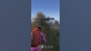 Strange encounter in DayZ #dayz  #short  #gaming