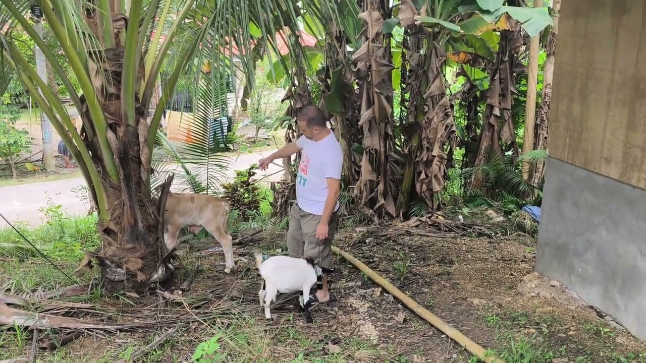 In the barangay meeting friends 💛💙חולצה יוקרתית דב צור לראשות העיר