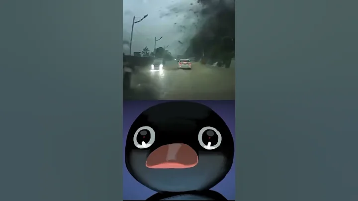 nOOT nOOT #shorts #meme #pingu