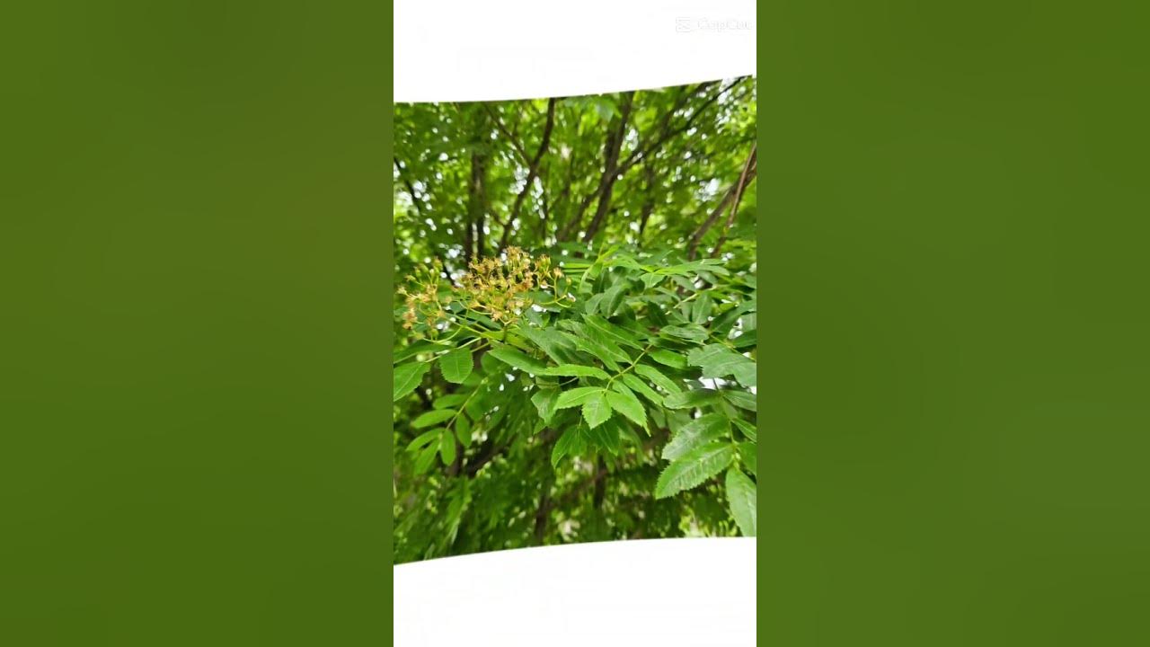 Здравствуйте #Кандалакша #нейрографика #творчество #трансформация # ...