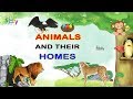 Animals and Their Home Names For Kids In English | Animal Homes || Homes of Animals and Birds