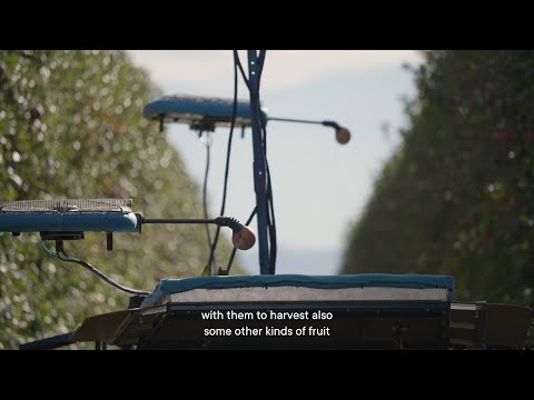 Tevel's Fruit-Picking Flying Autonomous Robots | Marco Rivoira Client Testimonial