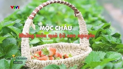 MỘC CHÂU những món quà từ cao nguyên