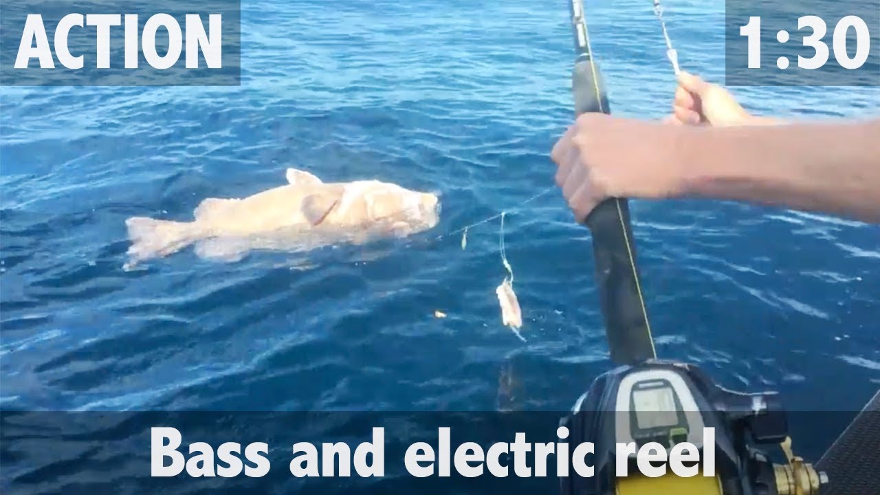 All about the bass youtube