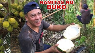 NAMITAS NG BUKO | Biyaherong Batangueno