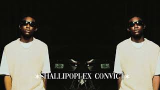 Shallipopi-Ex convict(sped up)