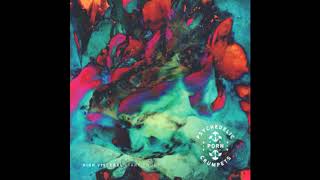 Psychedelic Porn Crumpets - First Light in the Garden at Chipping