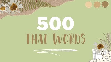 201 - 220 | 500 TỪ VỰNG TIẾNG THÁI THÔNG DỤNG (Có ví dụ)