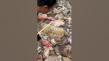 Suối thiên nhiên tuyệt đẹp // Món nướng thơm ngon - chuyến đi dã ngoại- tronpiu vlog