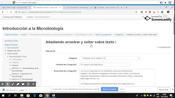 Pregunta Arrastrar y soltar sobre texto