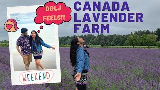 Living the BOLLYWOOD LIFE in CANADA | LAVENDER FARM IN ONTARIO | Indian Vlogger in CANADA