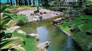 GREENBELT PARK: A PLACE OF CALM AMIDST THE CHAOS