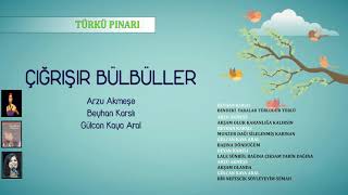 Çığrışır Bülbüller/ Türkü Pınarı
