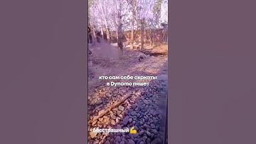 Revit dynamo скрипты