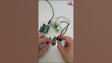 detecting leaf color | science project