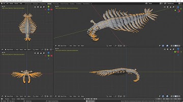 Blender anomalocaris armature