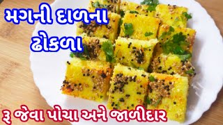 મગની દાળના ઢોકળા કેવી રીત બનાવશો|Mag ni dal na dhokla|dhokla recipe|Breakfast Recipe