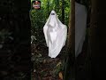 The ghost of Maria Labo vs DU30 👻😜 #horrorcomedycontent #astigmagpet 🇵🇭