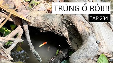 Tập 234 - Quay Lại Con Kênh Huyền Thoại Câu Cá Rô Đồng