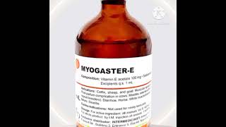 ميوجاستر ه‍ MYOGSSTER-E(فيتامين ه‍،سيلنيوم )