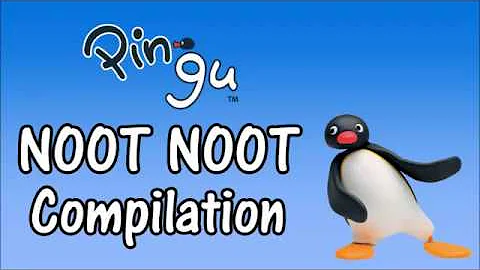 NOOT NOOT!!! (Pingu "Noot Noot" Compilation)