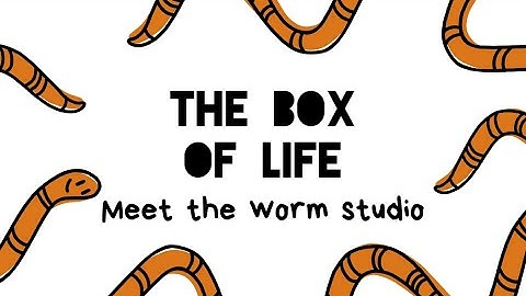 A quick guide to the Worm Studio