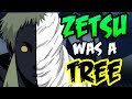 ZETSU: The Embodied Will - Naruto Discussion | Tekking101