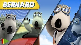 Bernard Bear Basketball And More 30 Min Compilation Cartoons For Kids