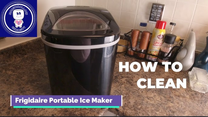 How To Clean A Countertop Ice Maker In 10 Easy Steps - arinsolangeathome