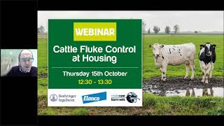 Cattle Fluke Control at Housing