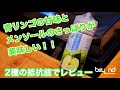 【リキッドレビュー】さっぱり青リンゴ！『Skwezed / Green Apple Ice』